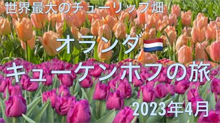 【世界最大チューリップ畑・オランダ🇳🇱キューケンホフの旅】