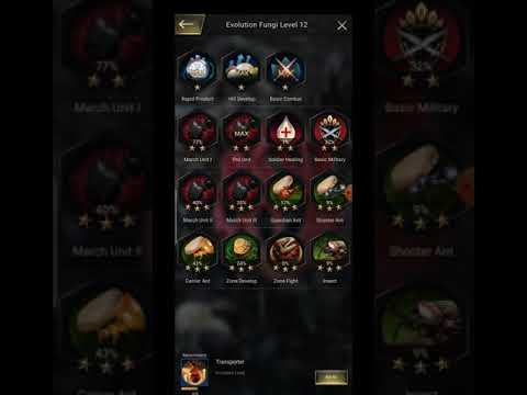 The Ants Underground Kingdom - Moving Ahead in Insect Evolution