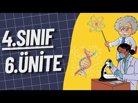 4. Sınıf İngilizce 6. Ünite Konu Anlatımı | İlkokul İngilizce