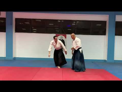 Kosa Dori Henka Waza And Advanced Pinning Techniques