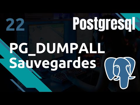 PostgreSQL 22 Sauvegardes pg dumpall pour sauvgegarder votre instance | tutos fr