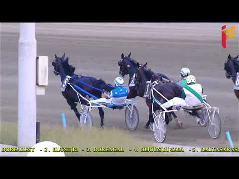 V Corsa del 11 Agosto 2021 - 4 Anni - Metri 1600 - II Tris