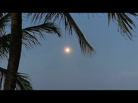 Base Rota Psicopata inveja destruída