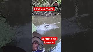 #pescaria #pescasub #peixesamazonicos #peixe #barcopesqueiro #fishing #pescacombambu