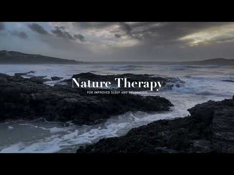 Winter Days at the Coast: Relaxing Waves Washing on Rocks | Stress Relief Ocean Sounds for Sleeping