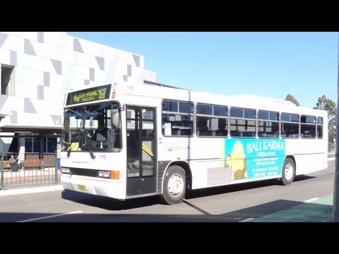 Transdev NSW M/O 8895 - Volvo B10M Mk4 (ZF|Custom Coaches 238)