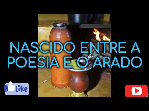 Eu sou do Sul -Os sSerranos🎵🎶 (Letra)