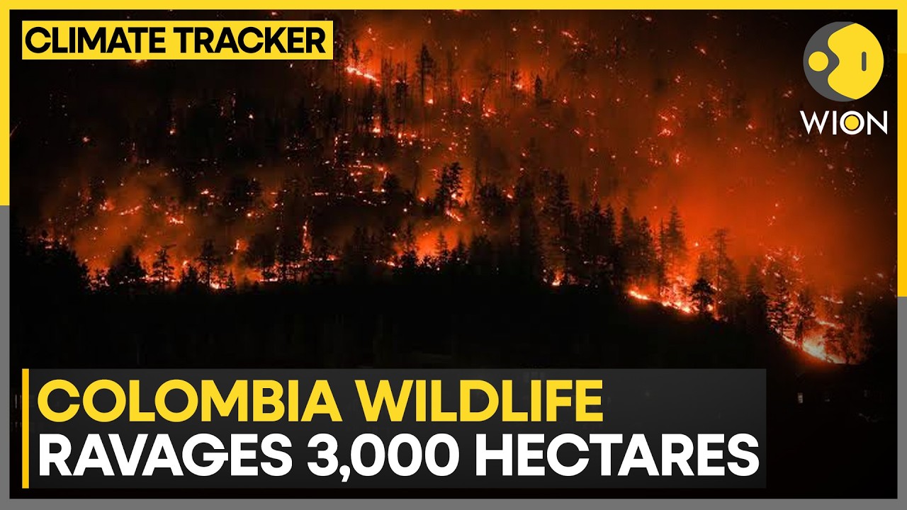 Colombia Wildfire: Raging Inferno Hits Vital Water Sources | WION News