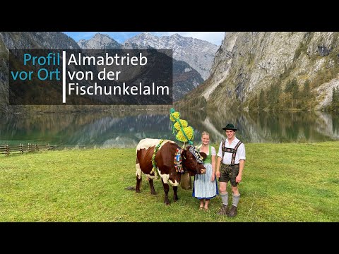 Heimfahrt mit der Plätte