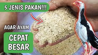 Download lagu 5 TYPES OF VILLAGE CHICKEN FOOD TO MAKE YOU BIG QUICKLY mp3