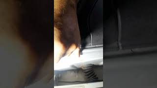 BSI, DE PEUGEOT 307 DAÑADA POR EL AGUA