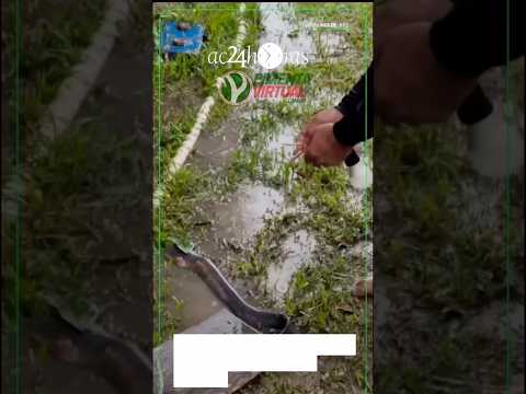 O secretário municipal de Produção e Sustentabilidade de Jordão, interior do Acre