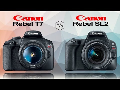 Canon Rebel T7 (EOS 2000D) vs Canon Rebel SL2 (EOS 200D)
