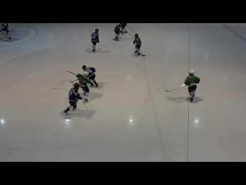 BJR09 Blue - Leki75 16.12.2018