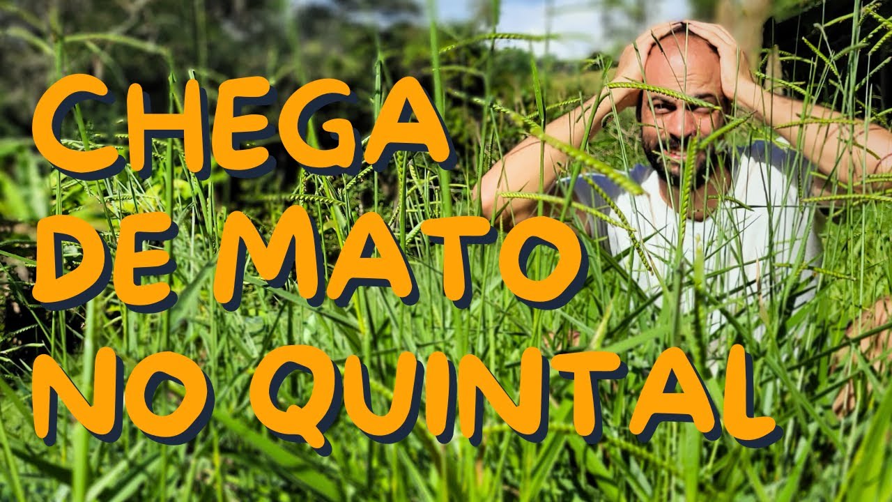 How to Kill Weeds Without Using Poison