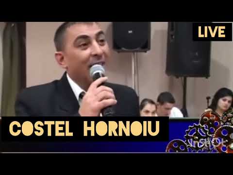 Pică ploaia pe-nserate (Cover) - Costel Hornoiu - Live