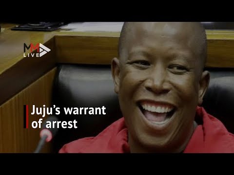 Julius Malema arrest warrant all you need to know.