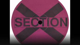 Section X --  X-Fly I  1995.wmv