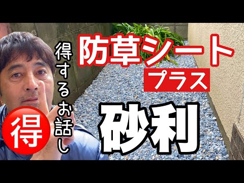 果樹の根元に砂利を置く：いつ、どのように置くのですか？  庭園