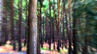 Signum - Solar Level [12" Original Mix]