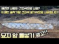 돌쌓기 돌담 담장 전석 발파석 굴착기 포크레인 06w볼보 volvo140e excavadora excavadoras stone art 스파이더포크맨 함양군 안의면