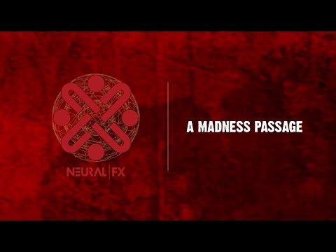 Neural FX - A Madness Passage (Lyric video)