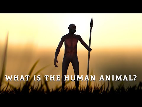 What is the Human Animal?