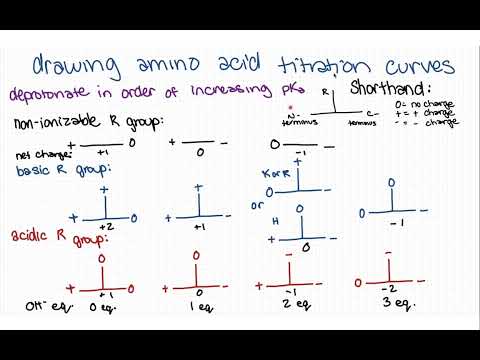 Drawing titration curves for amino acids - strategy, intuition, and examples