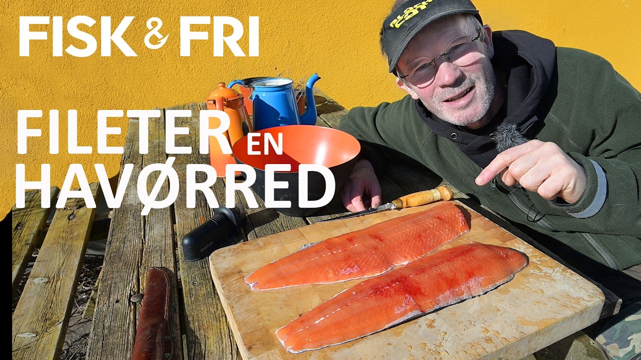 NY VIDEO: SÅDAN FILETERER DU EN HAVØRRED