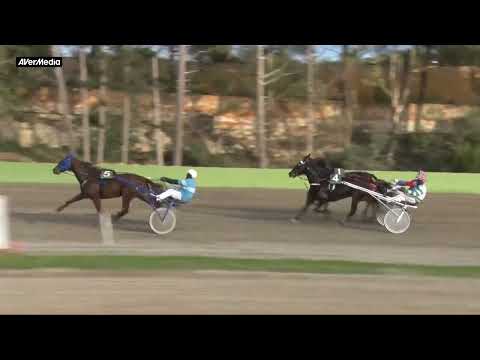 1° corsa - giovedì 29 dicembre 2022