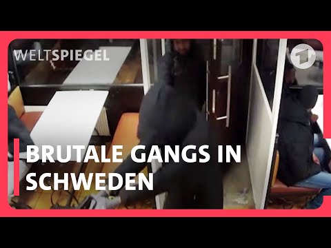 Bandenkriminalität: Warum ist Schweden so gefährlich geworden?