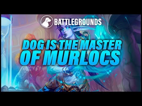 Dog is the Master of Murlocs | Dogdog Hearthstone Battlegrounds