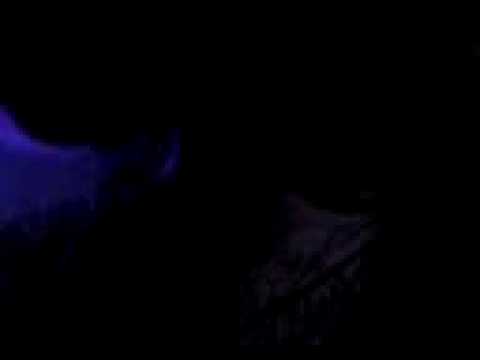 Vinícius Scherer e Rainer Reintein dando show na ballare