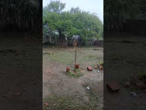 Chuva no Sítio Gaspar Quixelô CE 14/02/2026