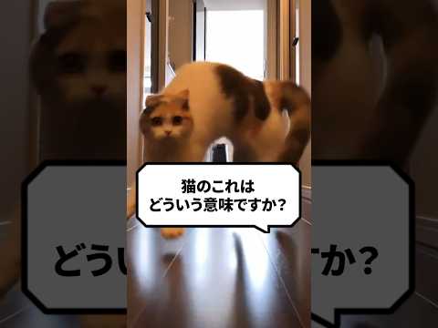 IUCN分類における絶滅の危険性を示す図。