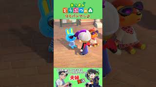 あつまれどうぶつの森　バレバレでしか　夫婦実況