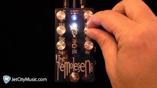 Video thumbnail for Dr Scientist Tremolessence by JetCityMusic