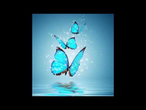 Crocoloko - The Voice Of Butterfly
