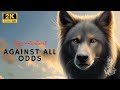 Story 9 Defying Destiny Against All Odds ترجمة عربي