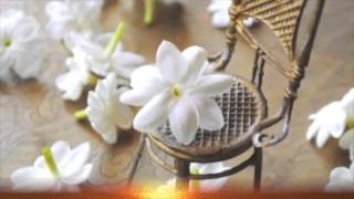 Morena do Mar - Olivia Hime