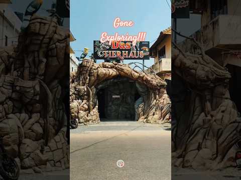 Explore!!! #cheraibeach #aquarium #explore #cherai #dastierhaus