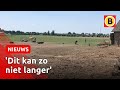 Eten en drinken voor 'verwaarloosde' paarden | Omroep Brabant
