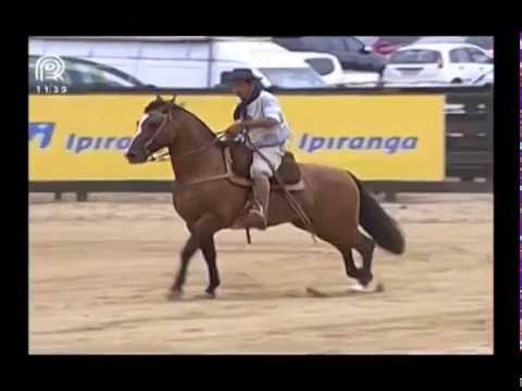 Bocal de Ouro – 2° lugar machos – Feitiço Cavalera