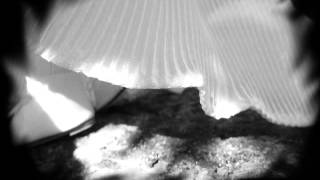 Indochine - Crash Me - Clip Amateur