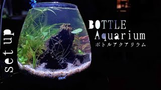 割れた「sono式」ボトルアクアリウム！リベンジする！