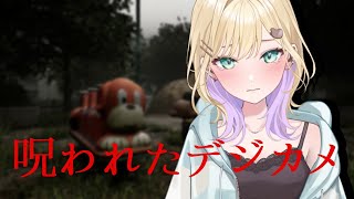 【呪われたデジカメ】今年のくるーみはがんばりますよ【ぶいすぽっ！胡桃のあ】