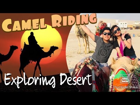 Camel Riding & Exploring Desert