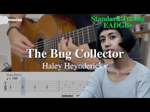 The Bug Collector - Haley Heynderickx (Standard Tuning) | Fingerstyle Guitar TAB
