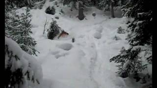 preview picture of video 'Freeride powder Alleghe  !! steve varley'
