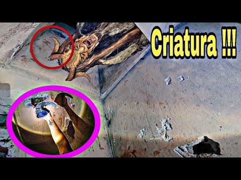 OLHA O QUE O RENATO GARCIA ENCONTROU NA LENDA DA CRIATURA